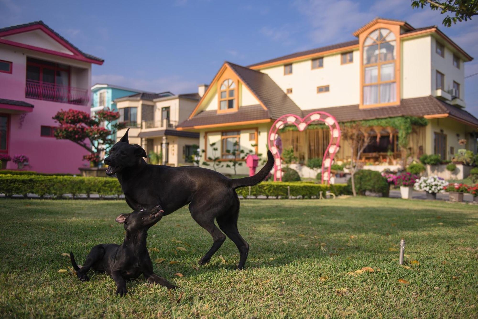 Xinfu Traveler Inn Taiping  Eksteriør billede
