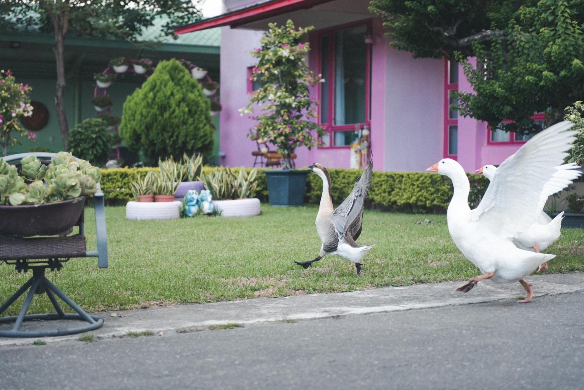 Xinfu Traveler Inn Taiping  Eksteriør billede