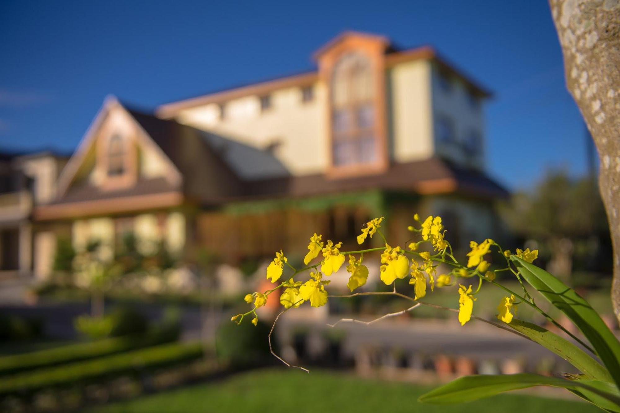 Xinfu Traveler Inn Taiping  Eksteriør billede