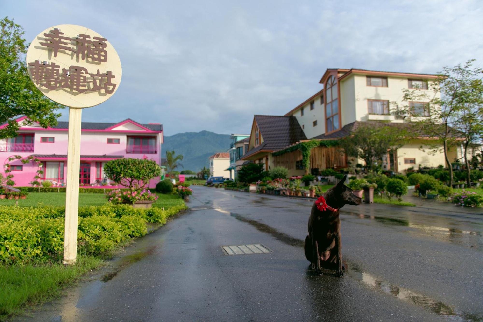 Xinfu Traveler Inn Taiping  Eksteriør billede