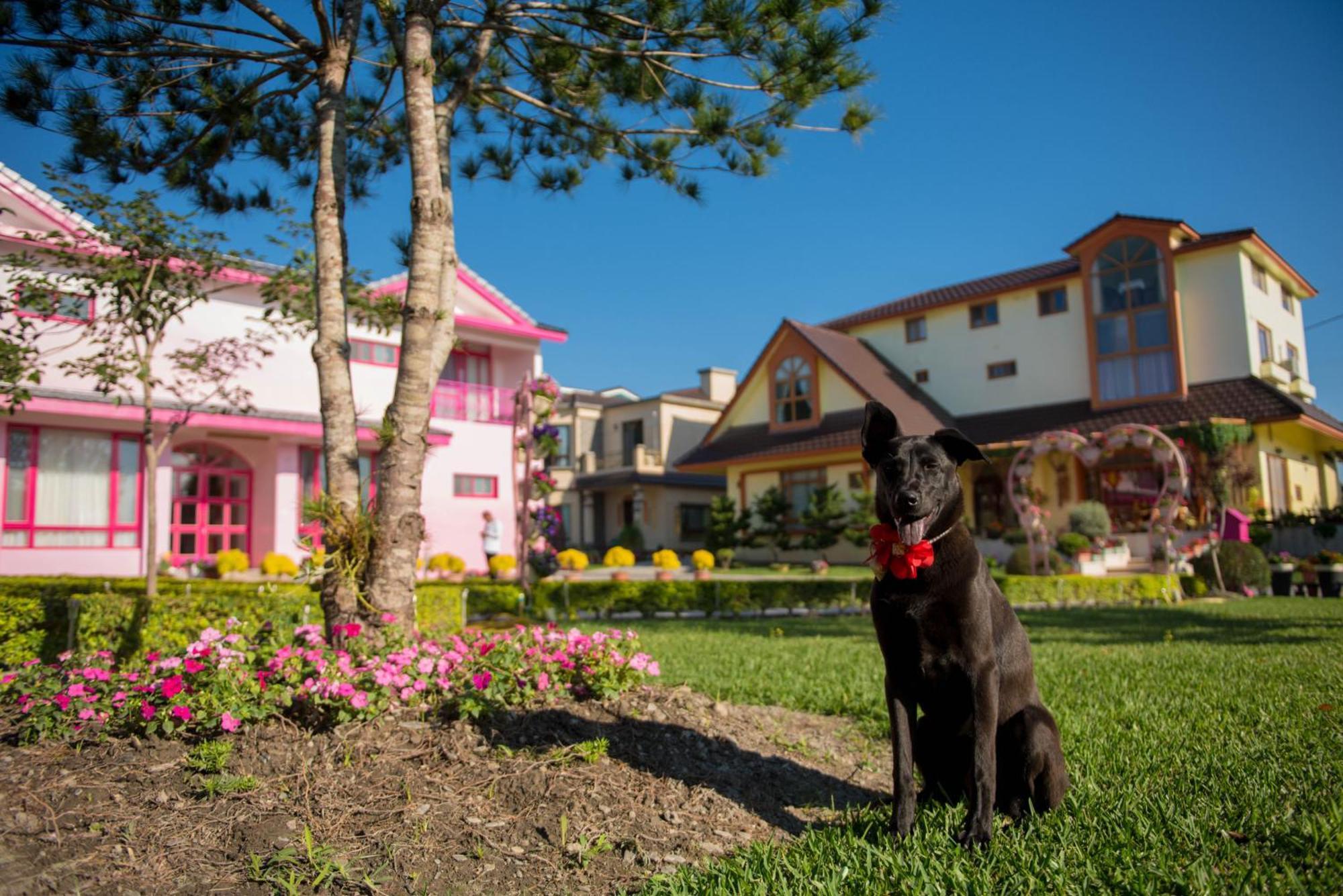 Xinfu Traveler Inn Taiping  Eksteriør billede